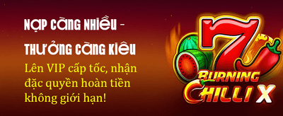 Explore Online Casino